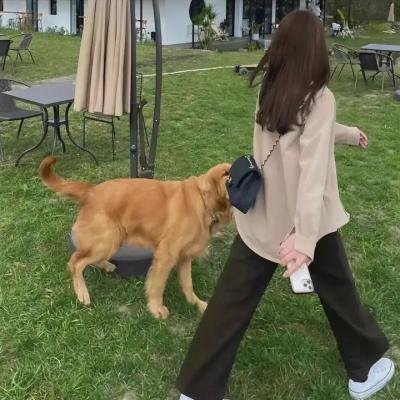 王牌美女特工
